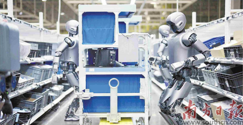 優(yōu)必選工業(yè)人形機(jī)器人在工廠開(kāi)展協(xié)同實(shí)訓(xùn)。 南方日?qǐng)?bào)記者 朱洪波 通訊員 羅艷 攝